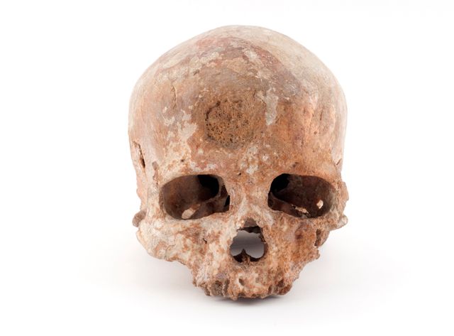 cro magnon