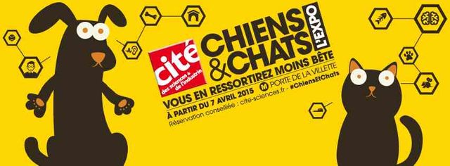 Exposition Chiens et chats