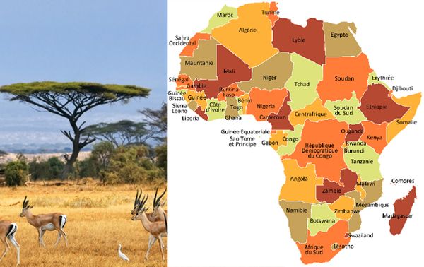 Afrique_603x380