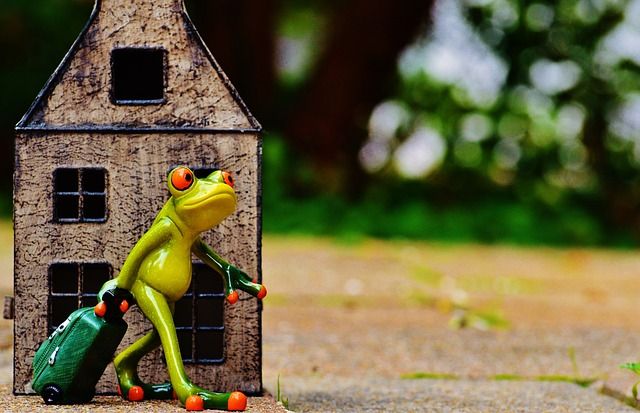 Quitter la France grenouille