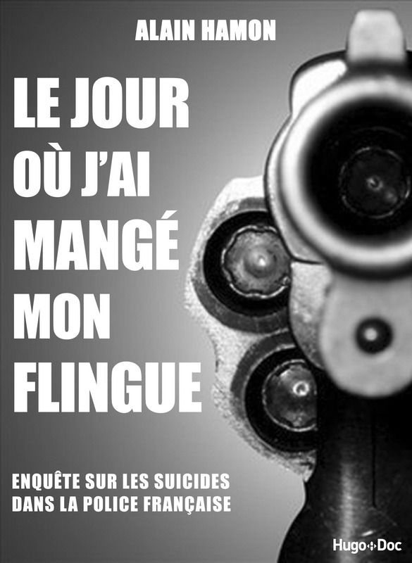 Couverture du livre d'Alain Hamon