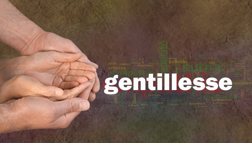 Journee De La Gentillesse Vendredi 13 Novembre 15 Petites Attentions