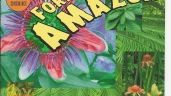 10 Forest of the Amason FLEMING, RENEE.jpg