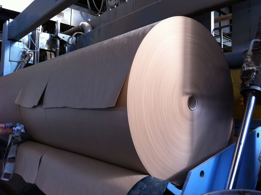 Le produit fini : les rouleaux de papier issus du pin maritime