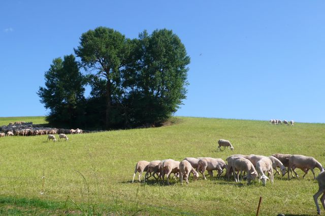 Arvieu (Aveyron)