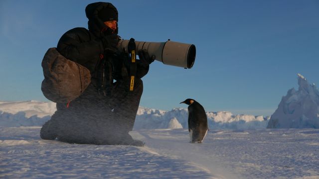 Vincent Munier en Terre Adélie pour la Wild-Touch Expeditions Antarctica