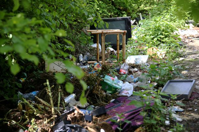 Déchets sauvages