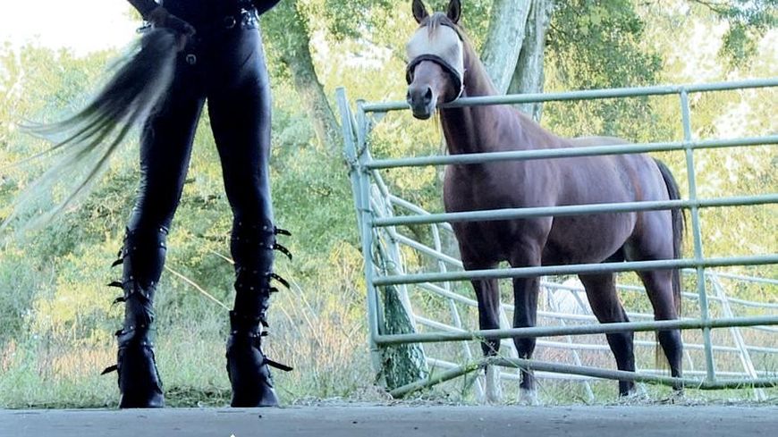 Etre cheval documentaire