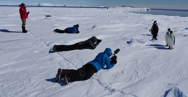 Antartica