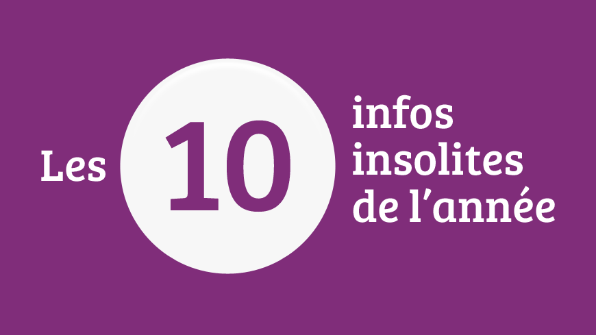 La rétro 2015 des infos insolites sur francebleu.fr