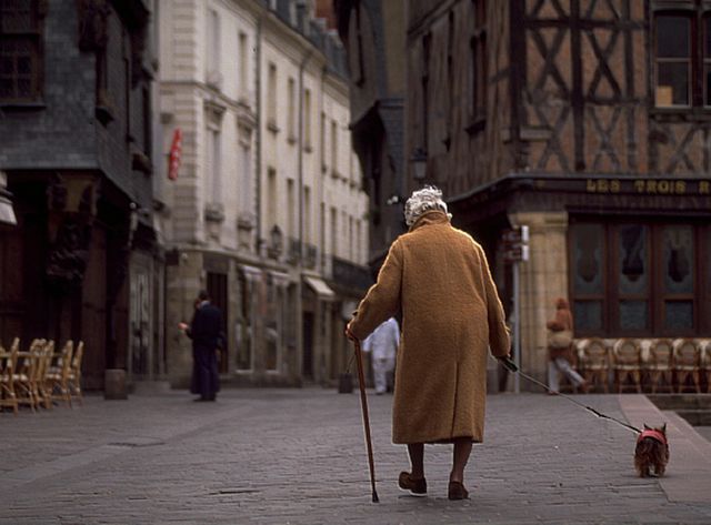 Une personne âgée avec son Yorshire