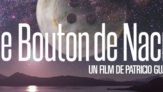 Le bouton de nacre 1