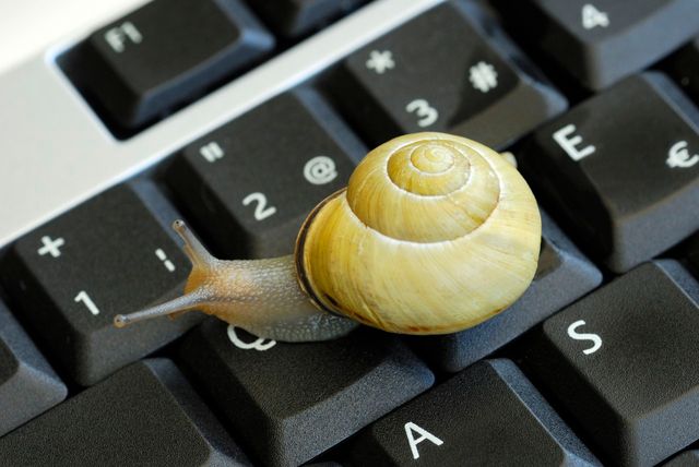 Le slow web ou comment prendre le temps de réfléchir sur l'actualité