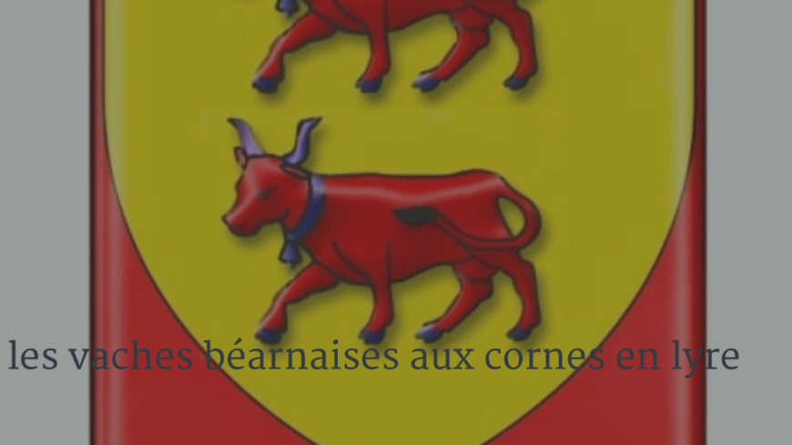 Les vaches Béarnaises