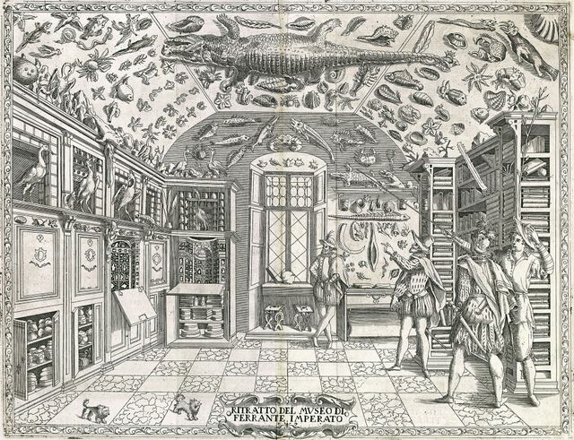 Cabinet de curiosité de Ferrante Imperato (1599)