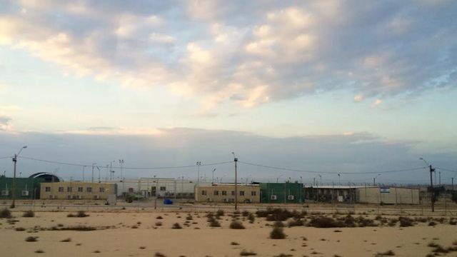 Holot