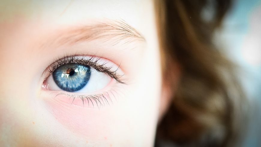 oeil