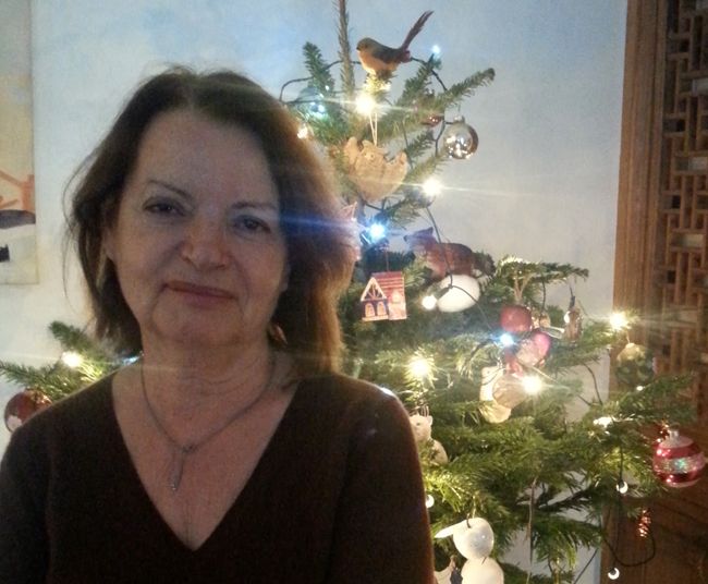 Pixel Noël - Martyne Perrot, sociologue