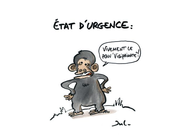 Jul vend un dessin pour récolter des fonds pour les grands singes