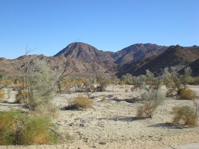 Palm Desert, Californie