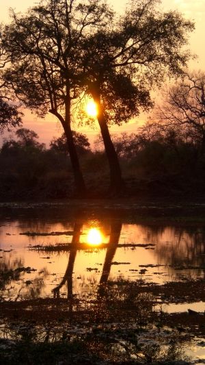 Un matin sur terre (film)