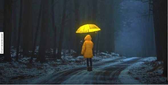 Alice et autres merveilles