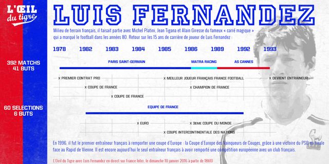Luis Fernandez