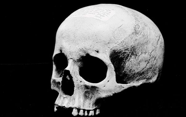 Le crâne prétendu de Mozart exposé à Salzbourg ©FranzNeumayr/Corbis