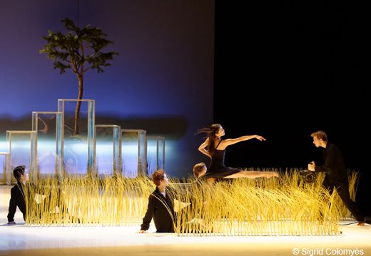 Pneuma avec Carolyn Carlson et le Ballet de l’Opéra National de Bordeaux