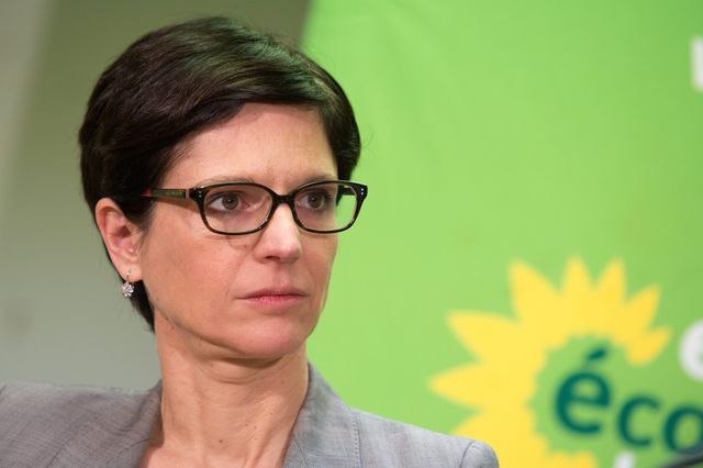 Voeux a la presse 2016 EELV en présence de Sandrine Rousseau