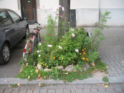 Jardin