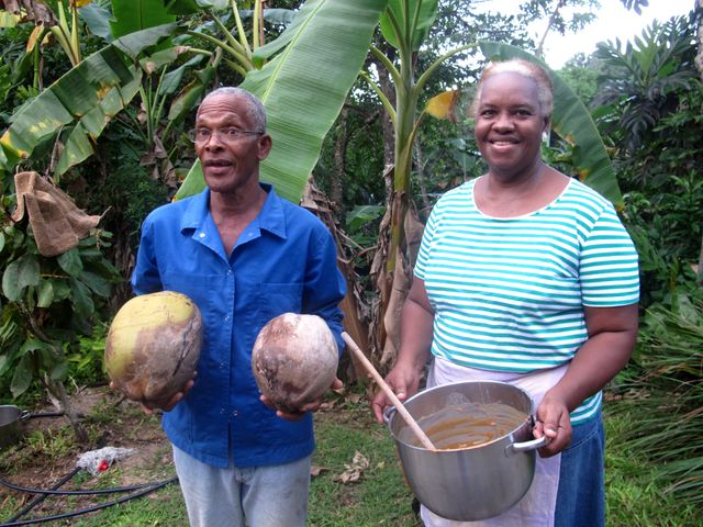 photo 1 basse terre