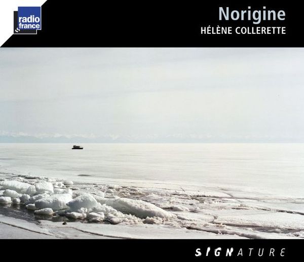 CD Norigine