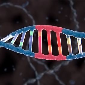 Une technique qui cible une zone très précise de l'ADN