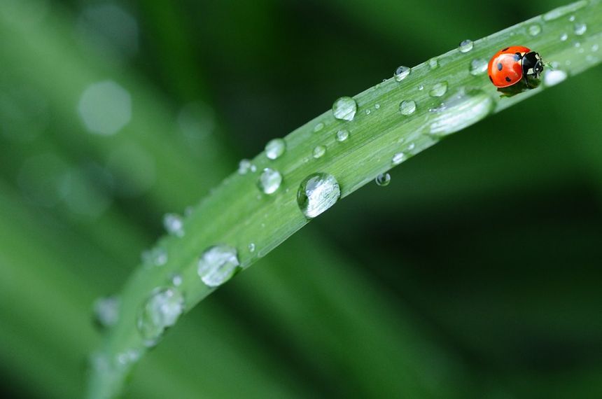 Gouttes d'eau