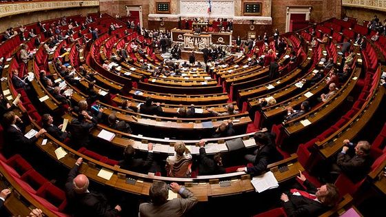 Hémicycle de l'Assemblée Nationale lors du vote d'une loi en 2009 - Richard Ying et Tangui Morlier