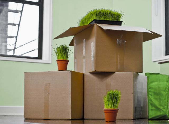 Déménager avec des cartons recyclés avec l'association "Carton Plein"