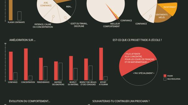 Source : www.elsistema-france.org/Evaluation-de-la-premiere-annee-de-l-orchestre-pilote