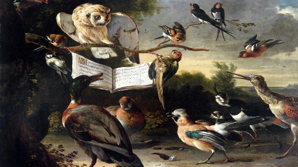Hondecoeter Le concert des oiseaux