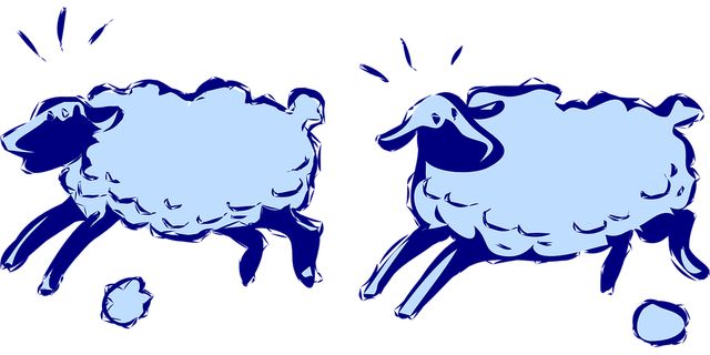 Insomnies : compter les moutons