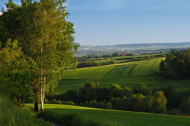 La nature