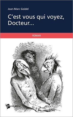 C'est vous qui voyez, Docteur... - Publibook