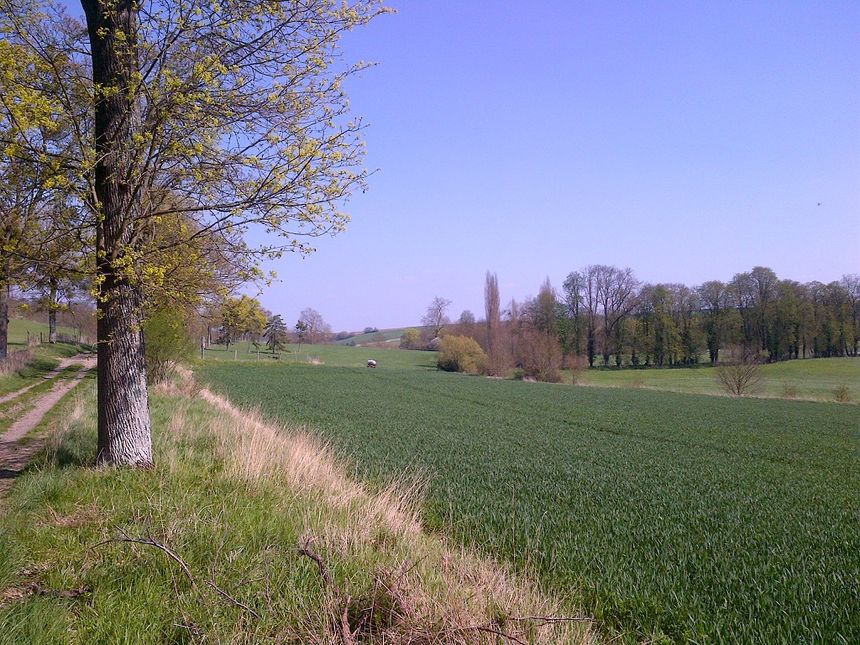Thiverval-Grignon