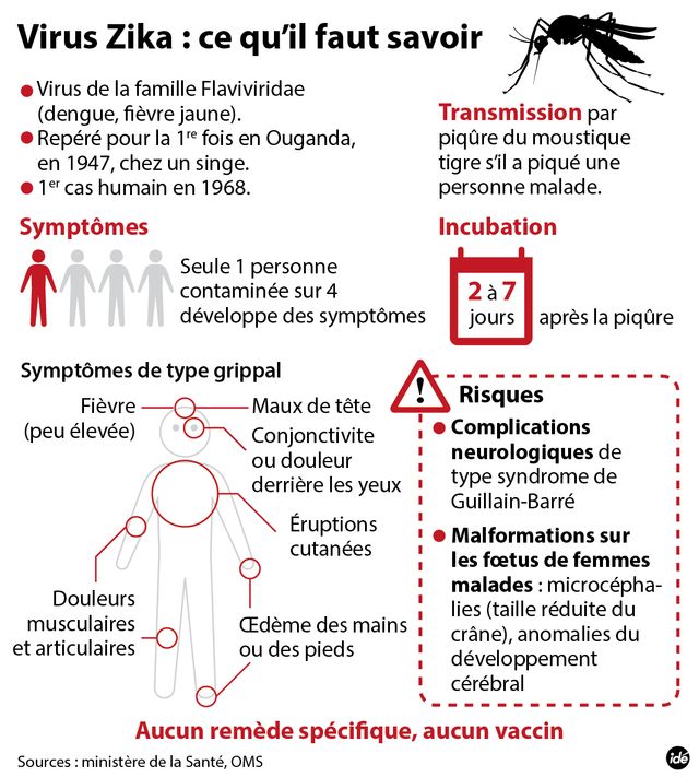 Zika : urgence de portée mondiale selon l'OMS