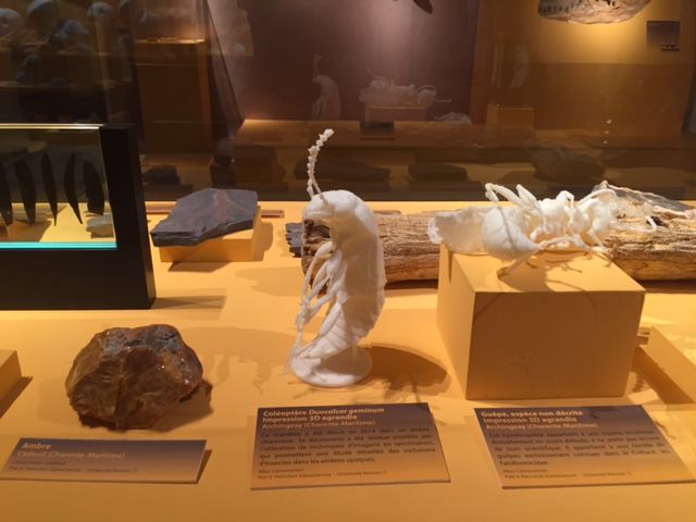 Des reproductions d'insectes en 3D agrandie, au Musée Vert.