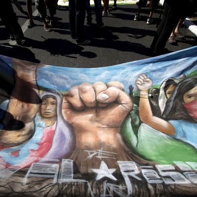 Des membres de l'ONG "Via Campesina" manifestent à Cancu, décembre 2010
