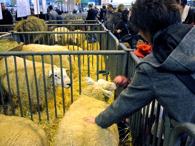 François Hollande attendu samedi au salon de l'Agriculture