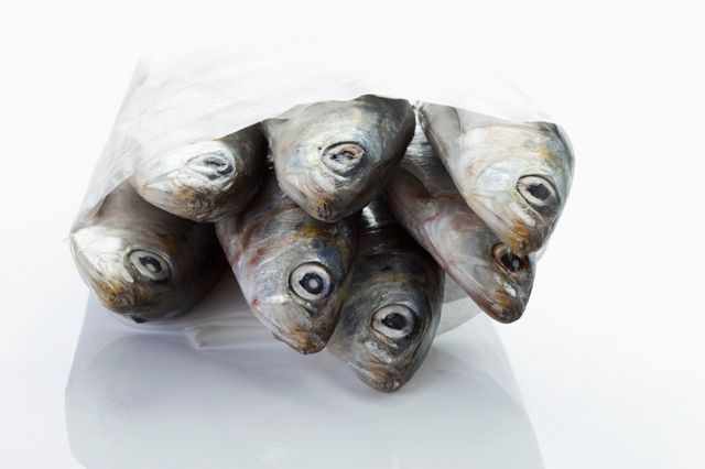 Sardines emballées dans un papier ciré blanc