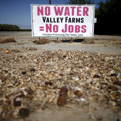 En Californie, après quatre années sans pluie