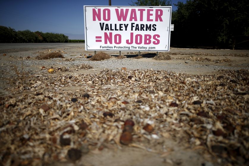 En Californie, après quatre années sans pluie